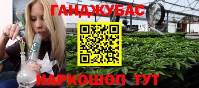 крисы Ирбит