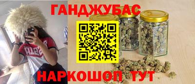 крисы Ирбит